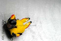 Bob03_7867.jpg